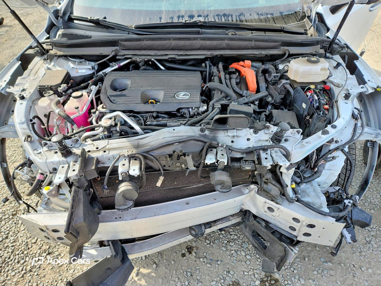 Lexus  2024