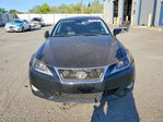 Lexus IS 2010