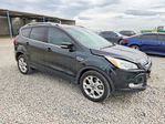 Ford Escape 2014