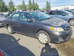 Toyota Corolla 2011