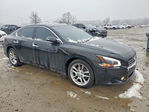 Nissan Maxima 2010
