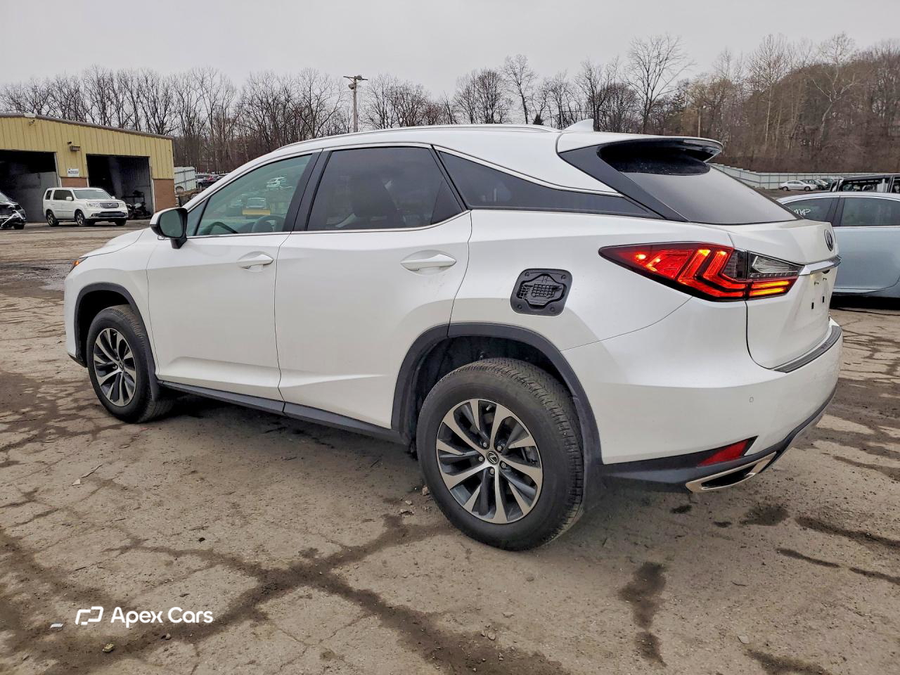 Lexus RX 2022