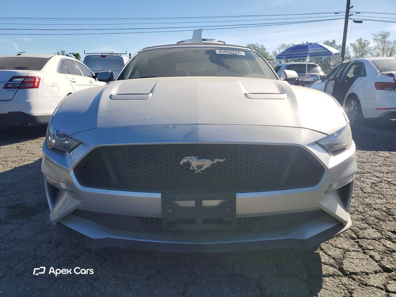 Ford Mustang 2019