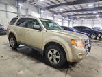 Ford Escape 2012