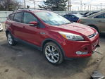 Ford Escape 2013