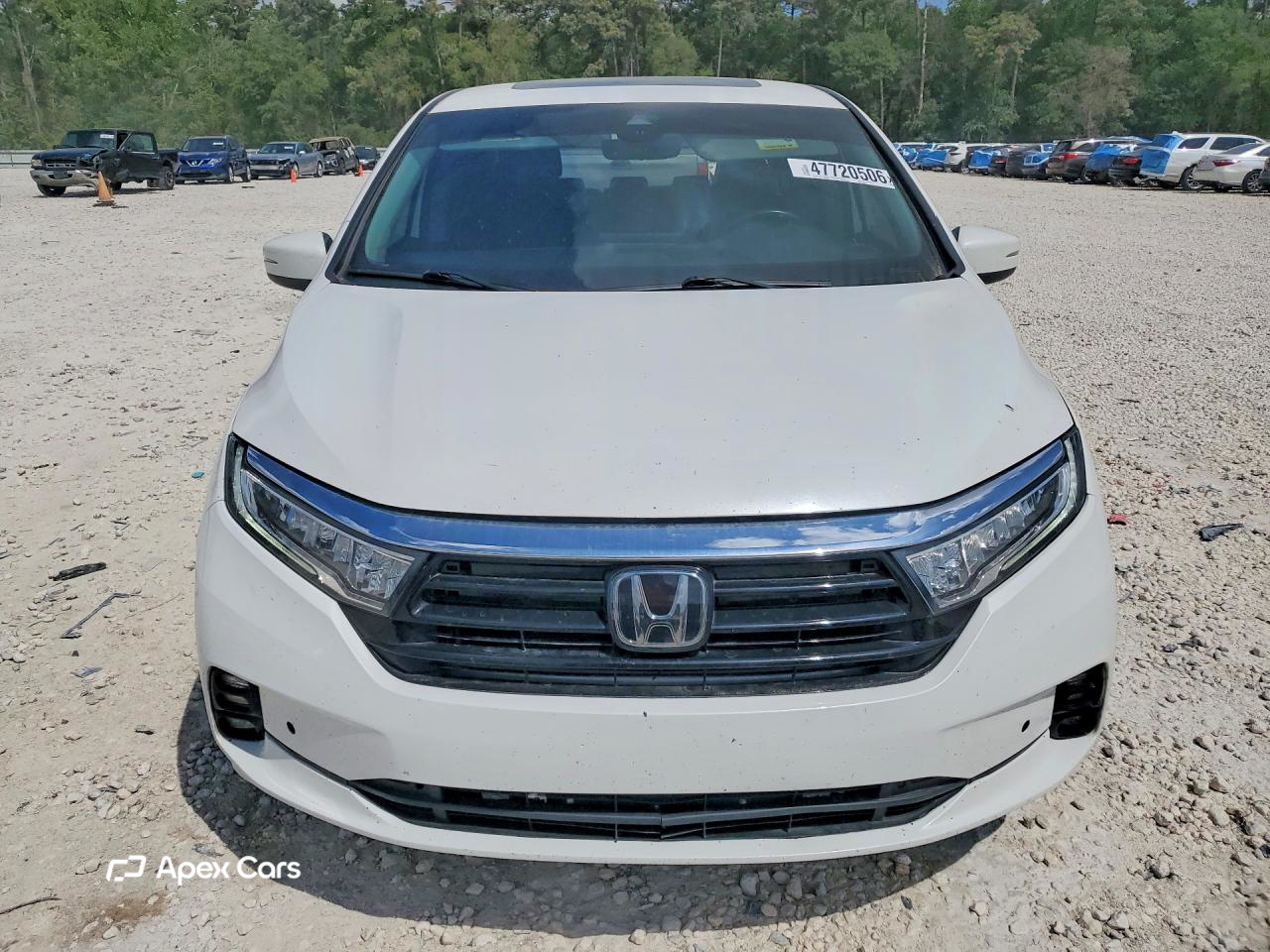 Honda Odyssey 2024