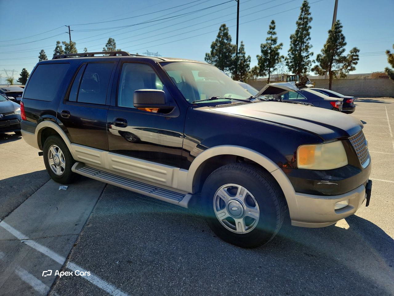 Ford Expedition 2006