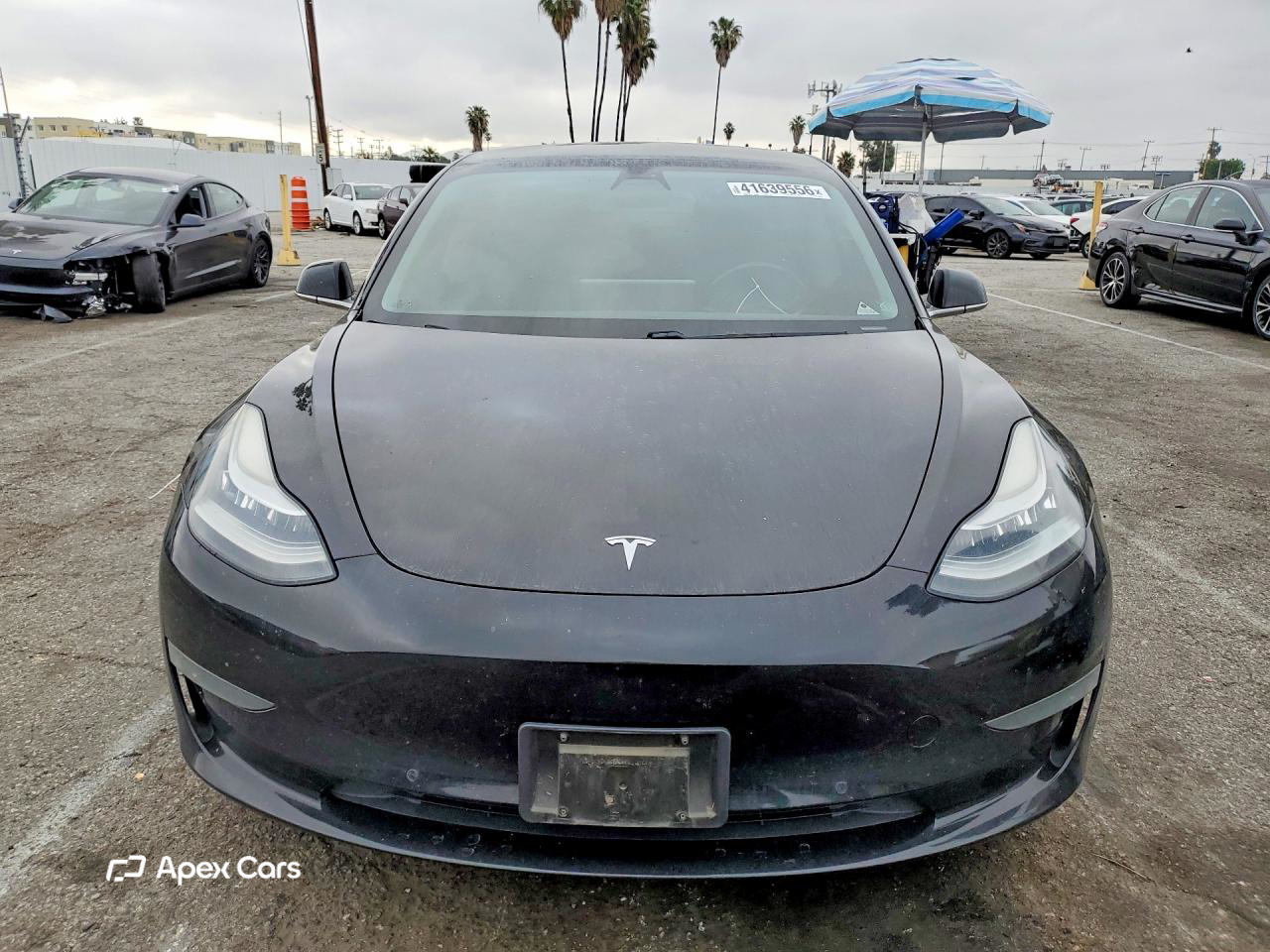Tesla Model 3 2019