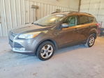 Ford Escape 2013