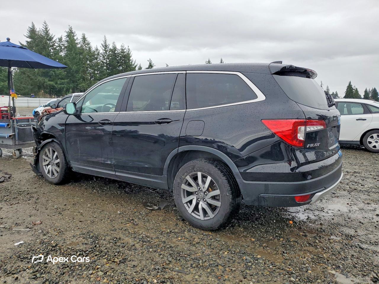 Honda Pilot 2019
