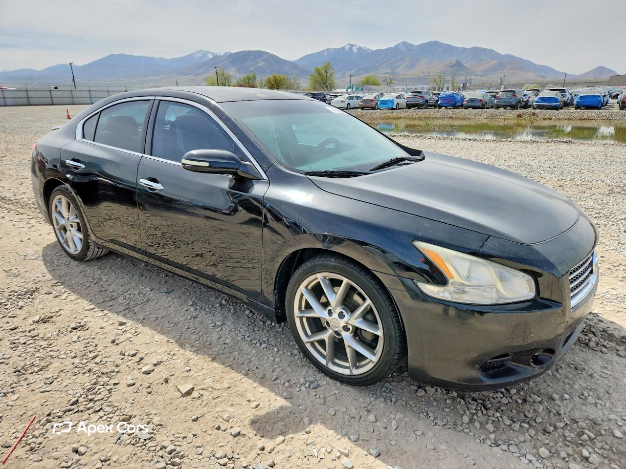 Nissan Maxima 2010