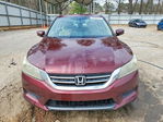 Honda Accord 2013