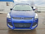 Ford Escape 2013