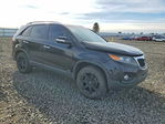 Kia Sorento 2013