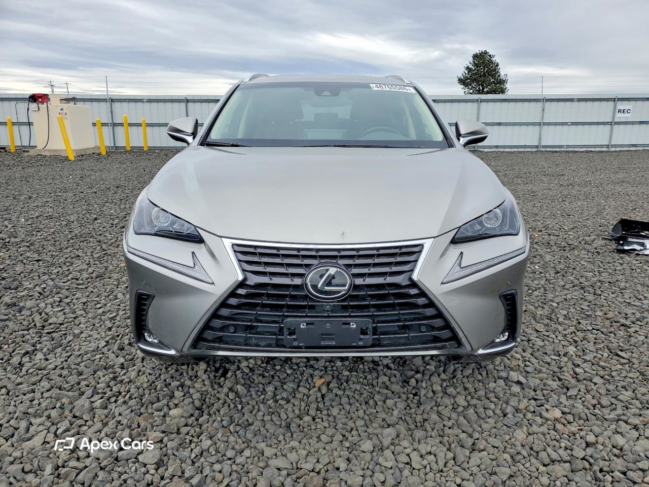 Lexus NX 2019