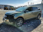 Ford Edge 2013