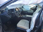 Lexus RX 2024