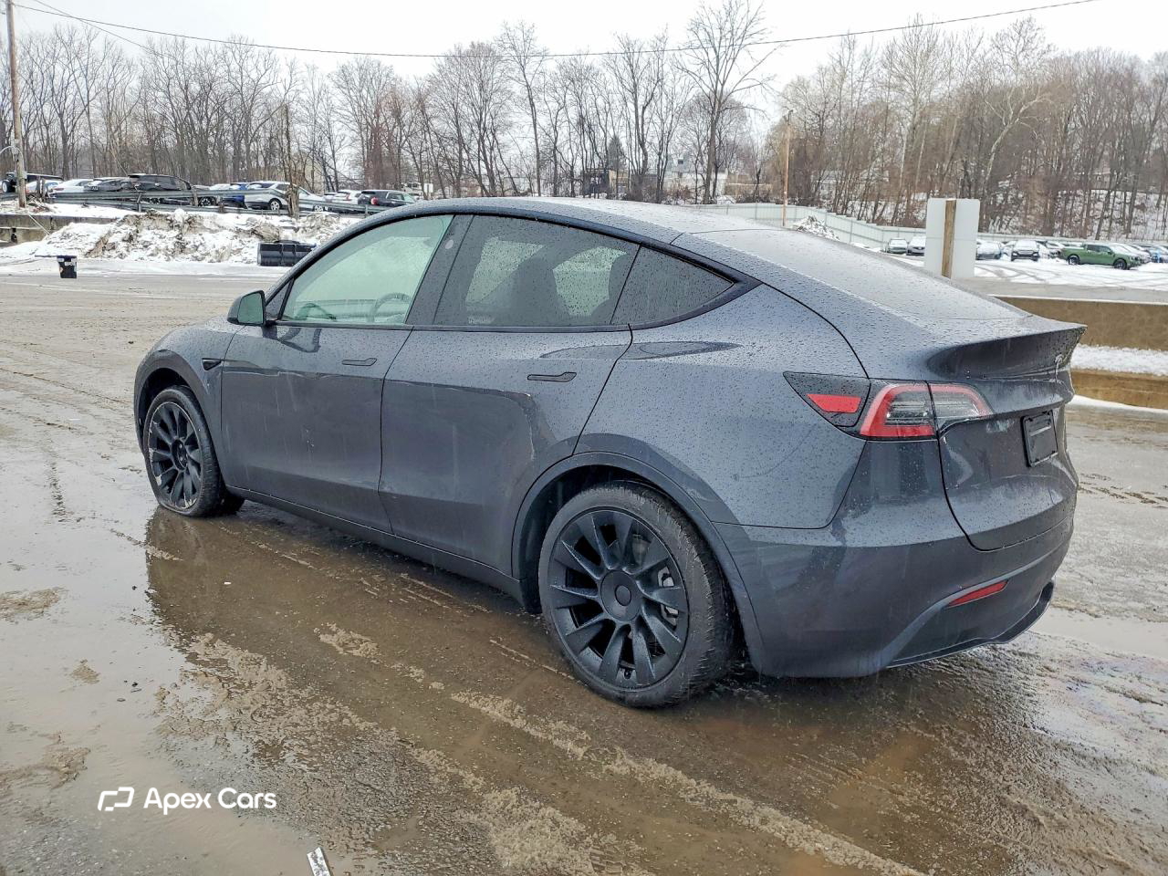 Tesla Model Y 2024