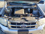 Ford Escape 2011