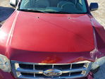 Ford Escape 2008