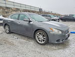 Nissan Maxima 2014