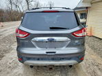 Ford Escape 2013