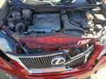 Lexus RX 2010