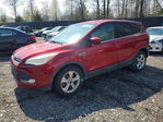 Ford Escape 2014