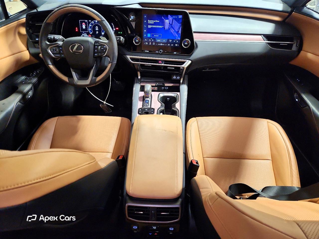 Lexus RX 2024
