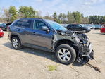Toyota RAV 4 2021
