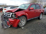 Ford Escape 2011