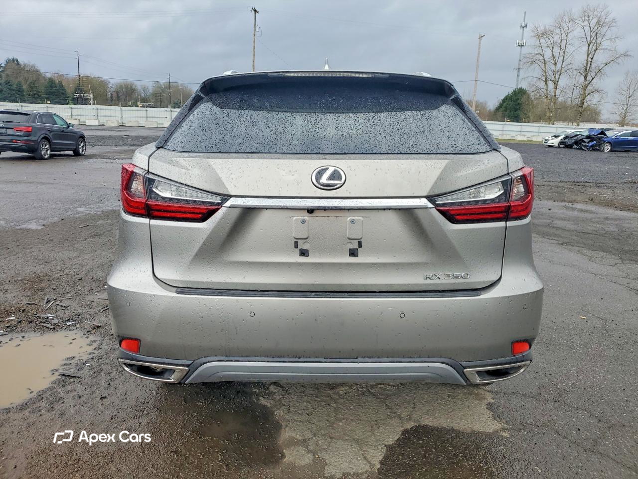 Lexus RX 2021