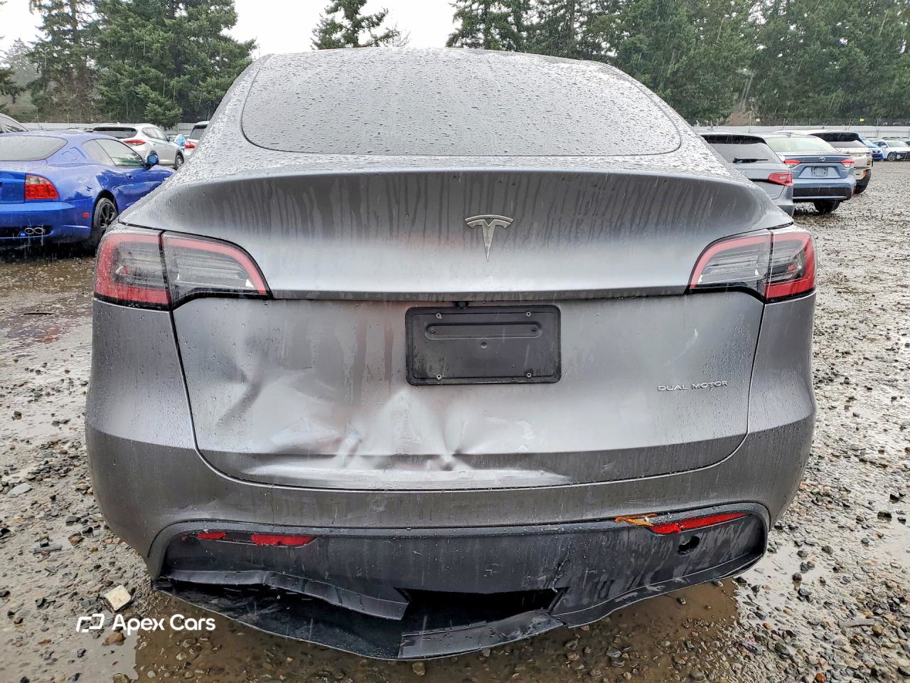 Tesla Model Y 2025