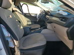 Ford Escape 2021