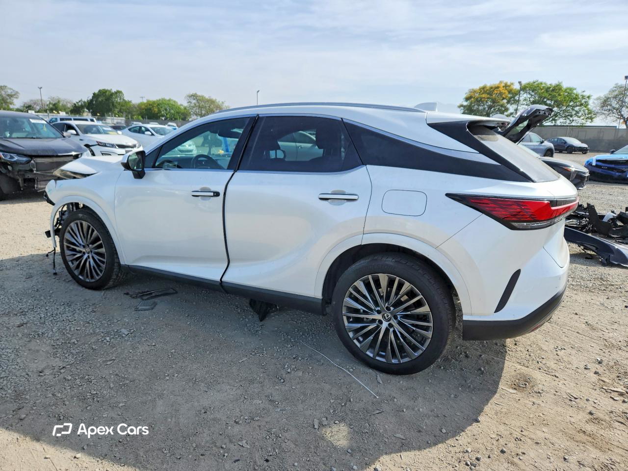 Lexus  2024