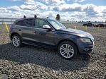Audi SQ5 2015