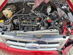 Ford Escape 2009