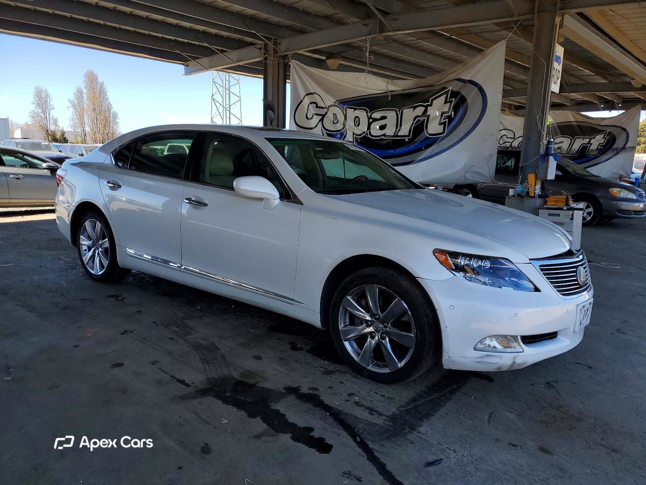 Lexus LS 2008