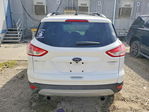 Ford Escape 2013