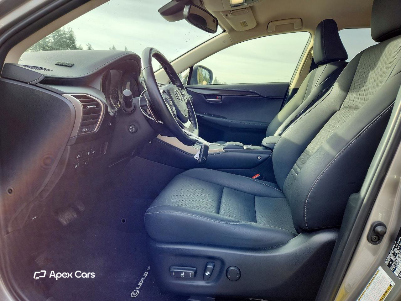 Lexus NX 2021