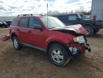 Ford Escape 2009