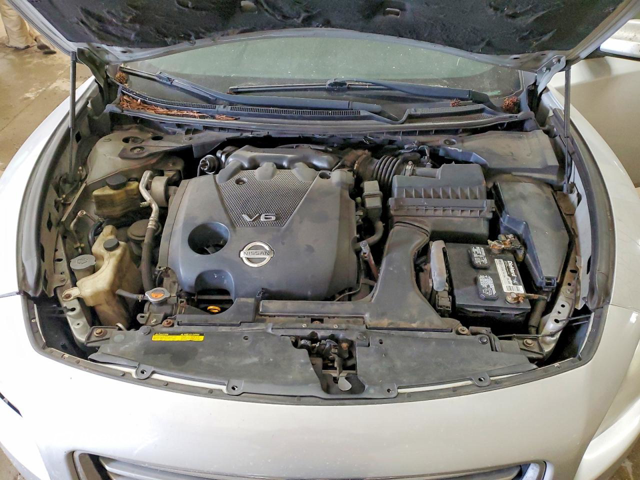 Nissan Maxima 2012