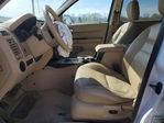 Ford Escape 2008