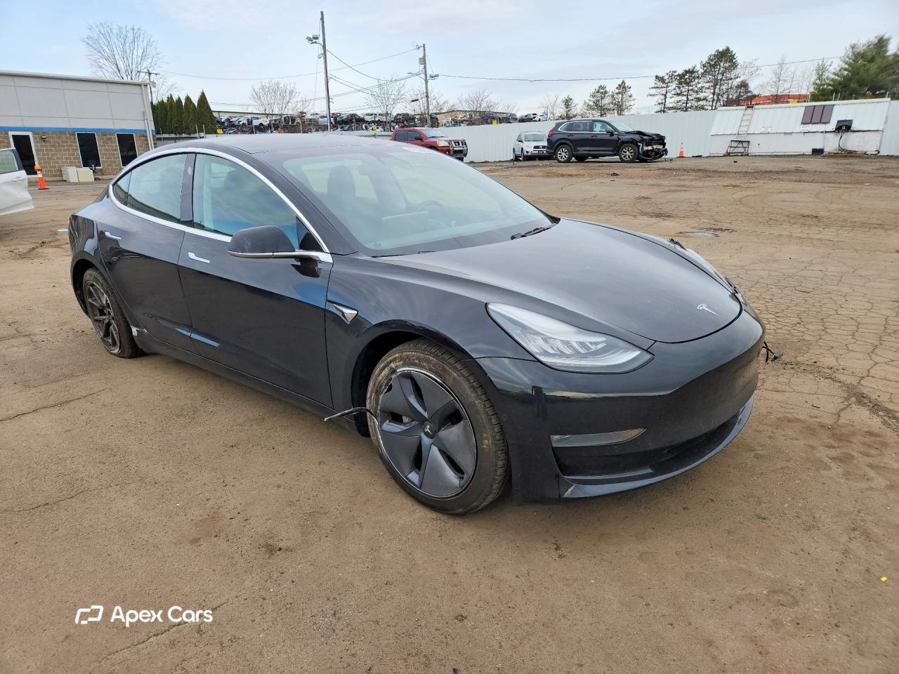 Tesla Model 3 2019