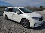 Honda Odyssey 2022