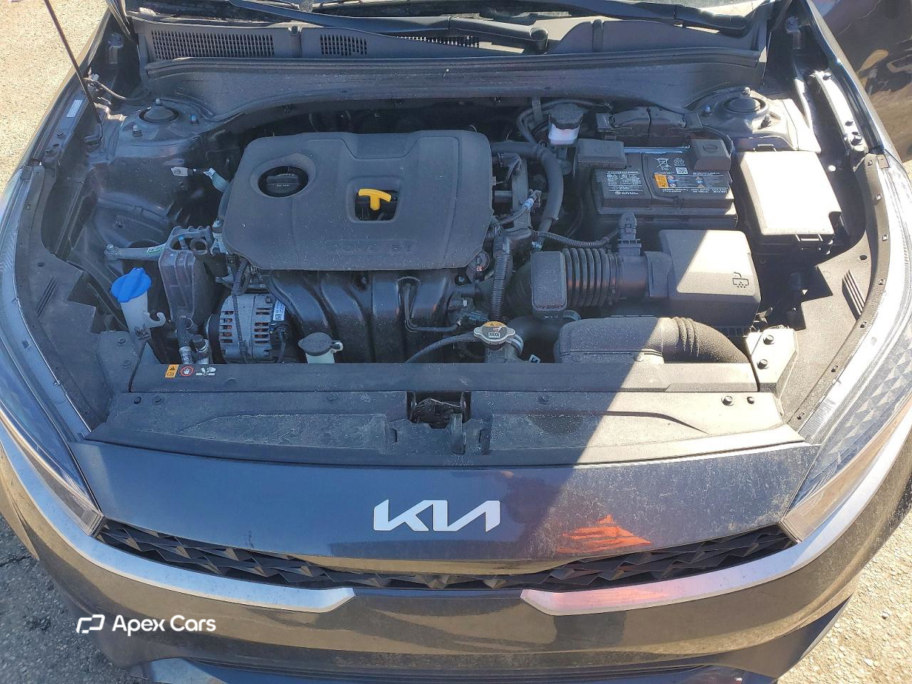 Kia Forte 2024