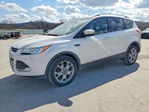 Ford Escape 2016