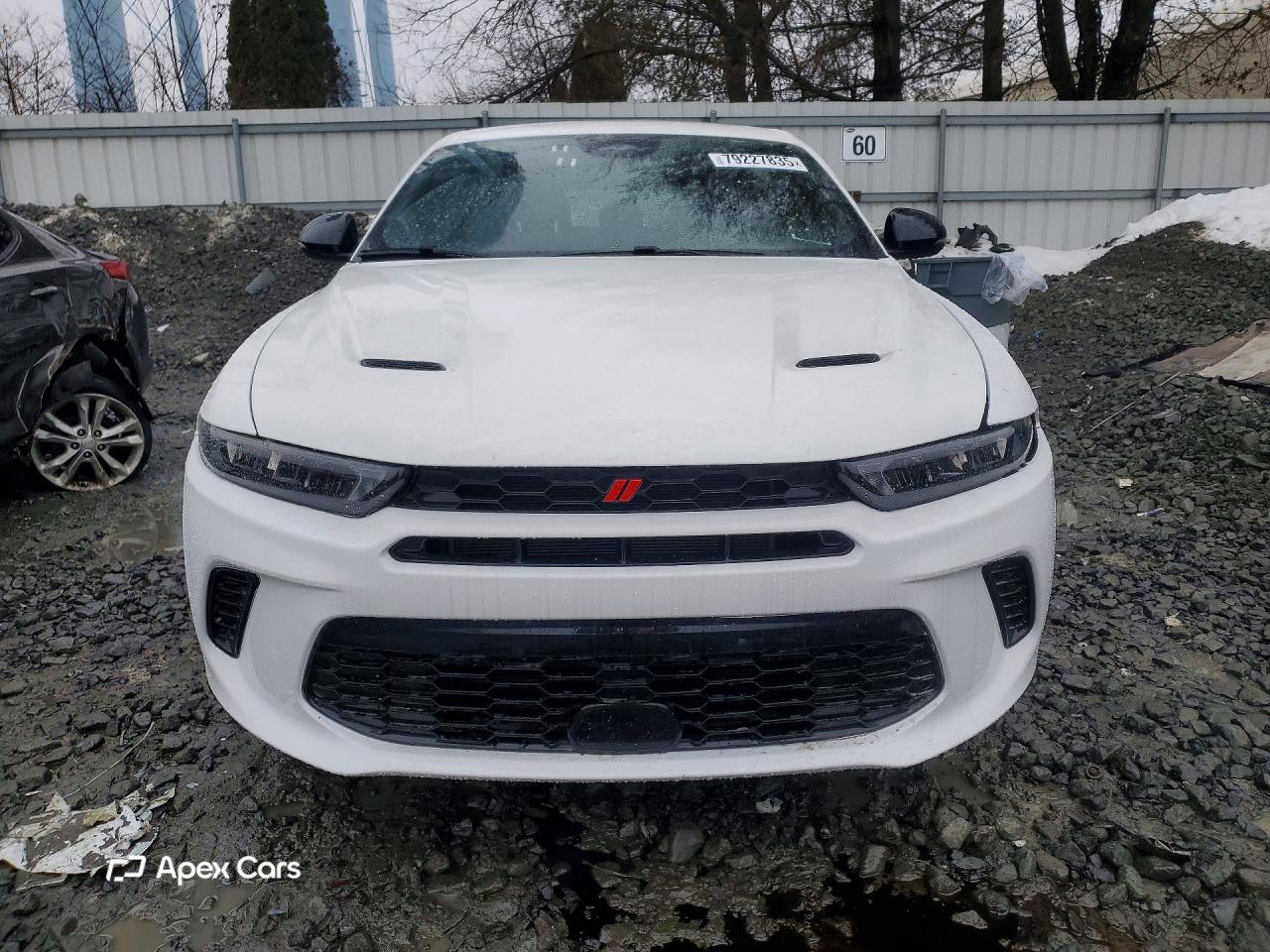 Dodge Hornet 2024