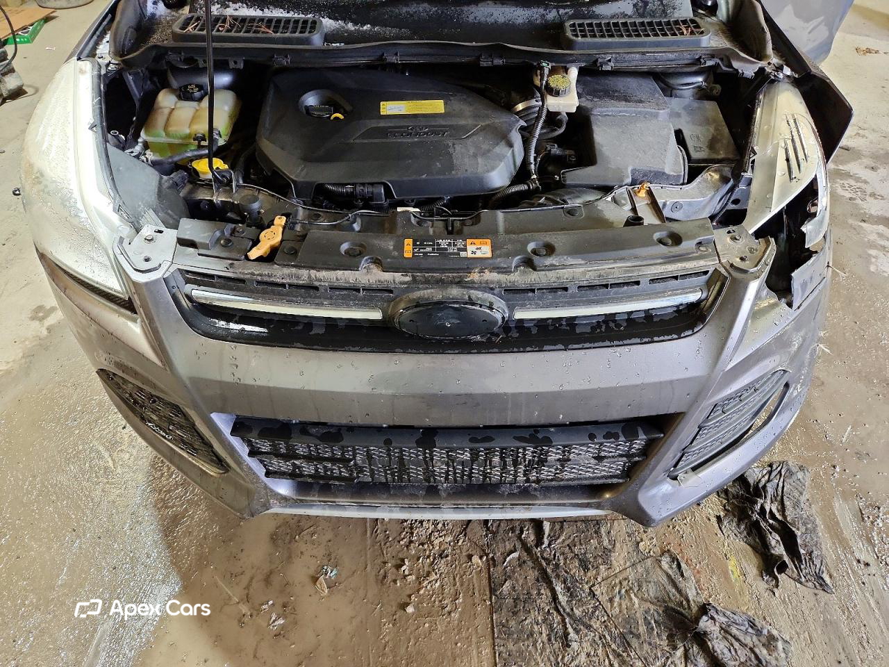 Ford Escape 2013