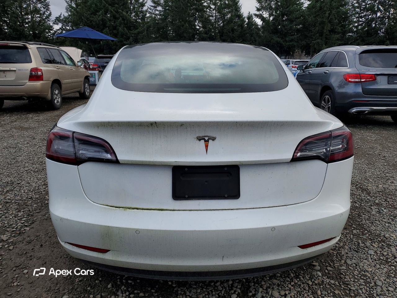 Tesla Model 3 2019
